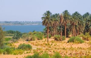 محلية دنقلا في السودان