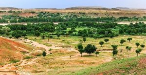 ولاية غرب دارفور محلية هبيلا