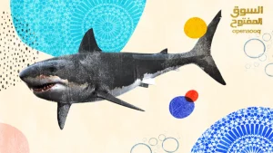 الدليل الشامل عن سمك القرش