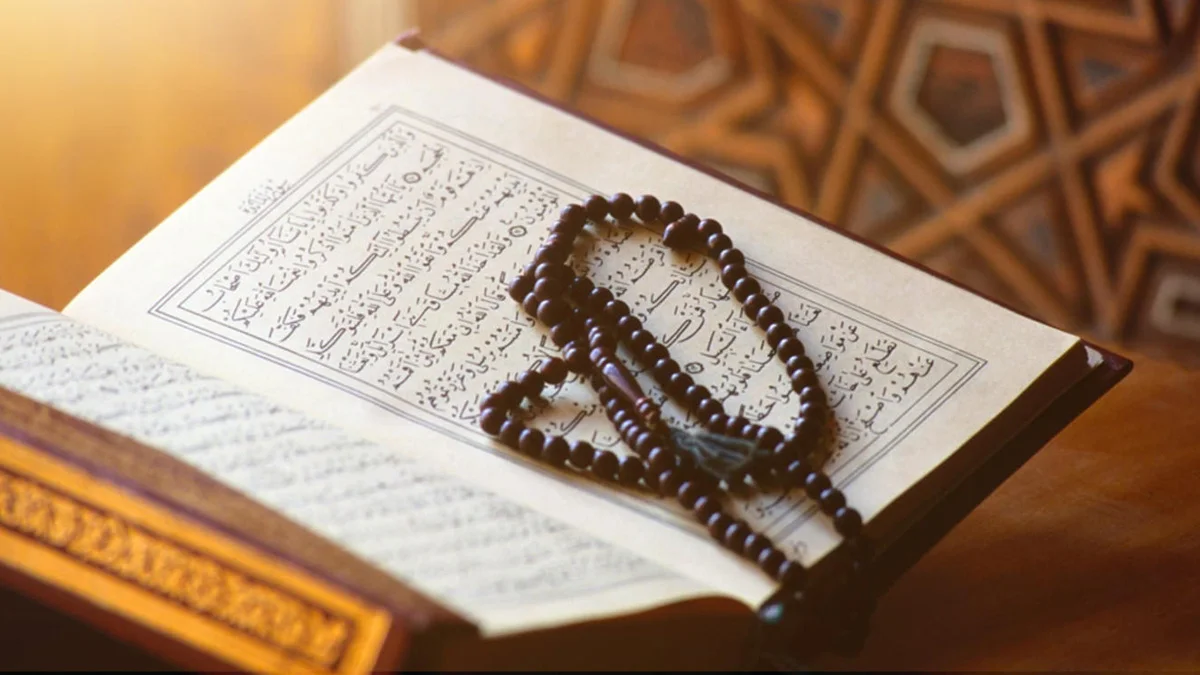 سور القرآن الكريم كاملا مع التفسير