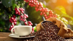 أنواع حماصة القهوة مع الميزات والعيوب