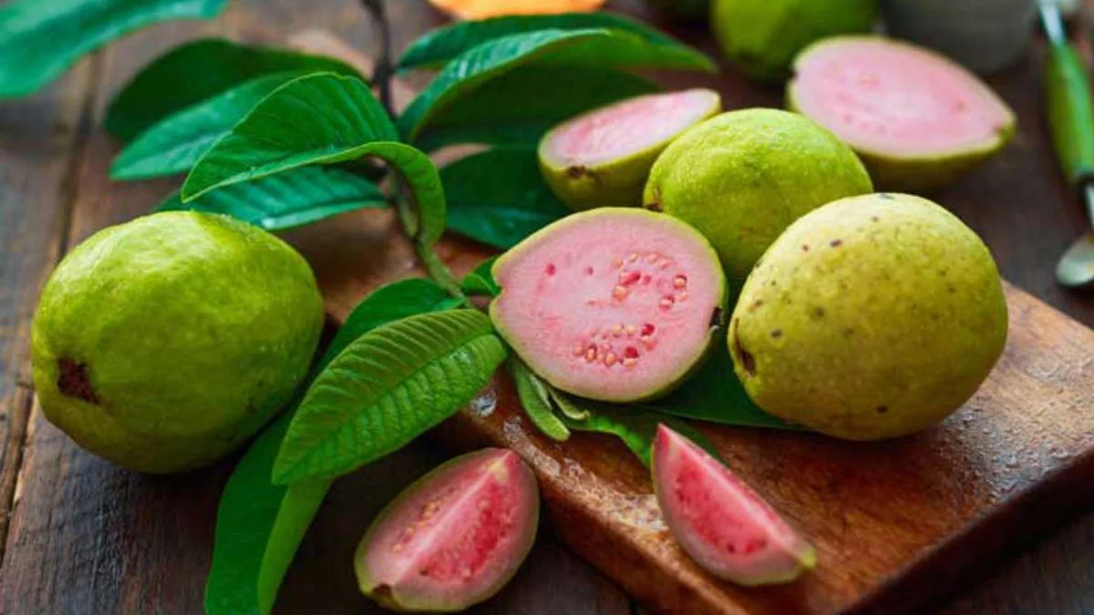فوائد الجوافة المذهلة 1