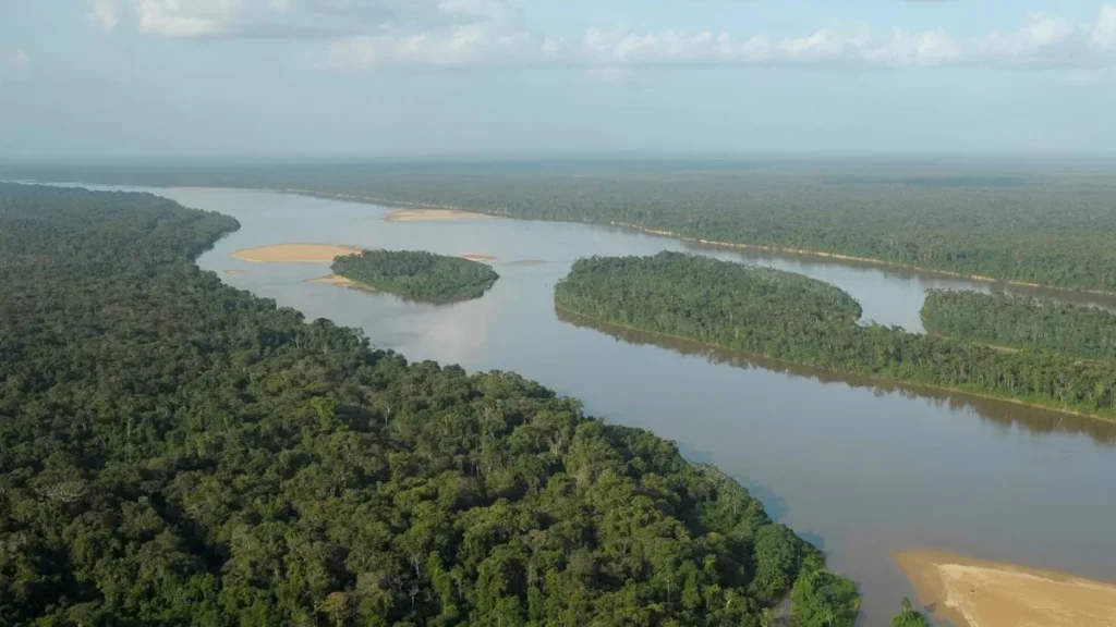 الدليل الشامل عن نهر الأمازون : اقرأ - السوق المفتوح