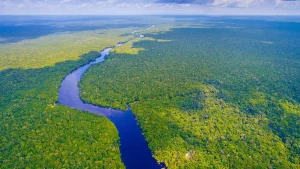 الدليل الشامل عن نهر الأمازون