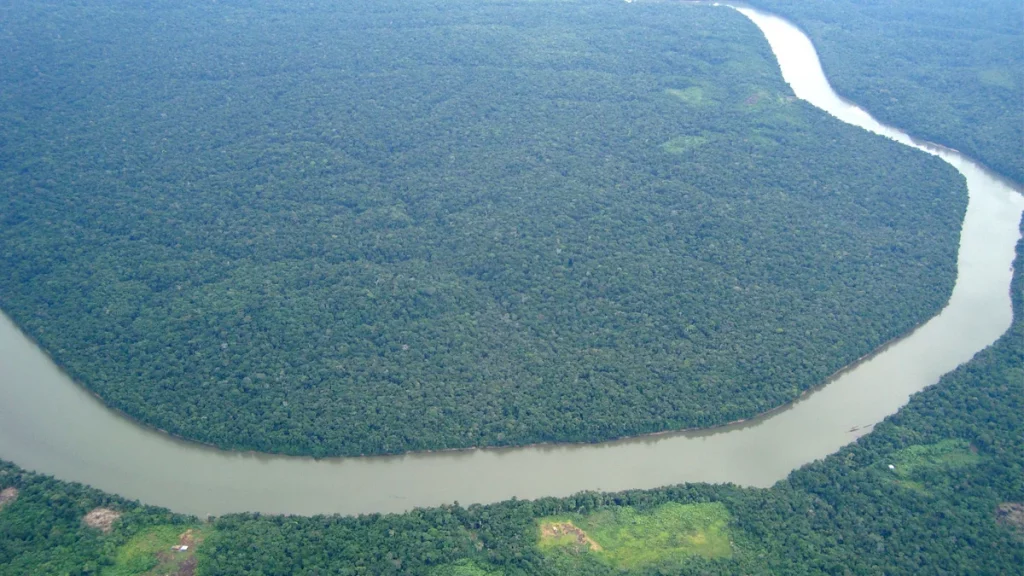 صور نهر الأمازون