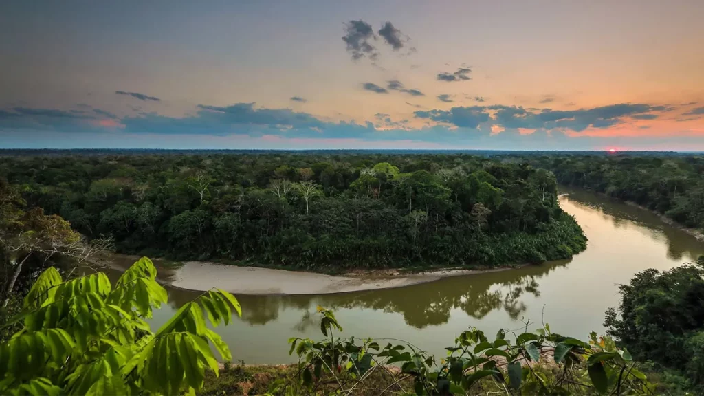 ميزات موقع نهر الأمازون