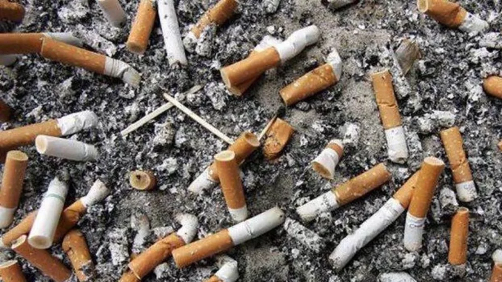 أضرار التدخين على البيئة