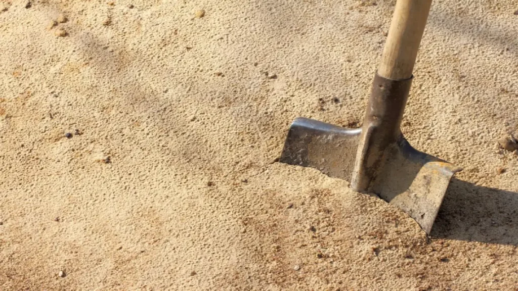 التربة الرملية