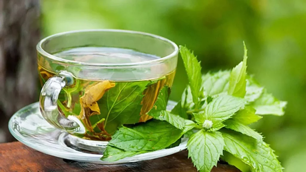 فوائد شاي المورينجا للبشرة