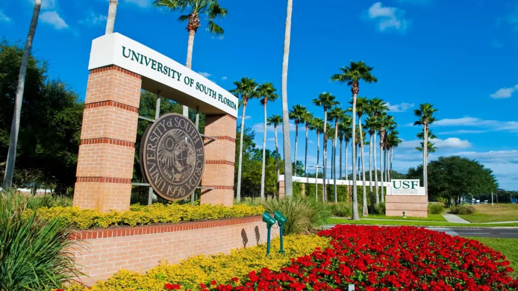 جامعة جنوب فلوريدا